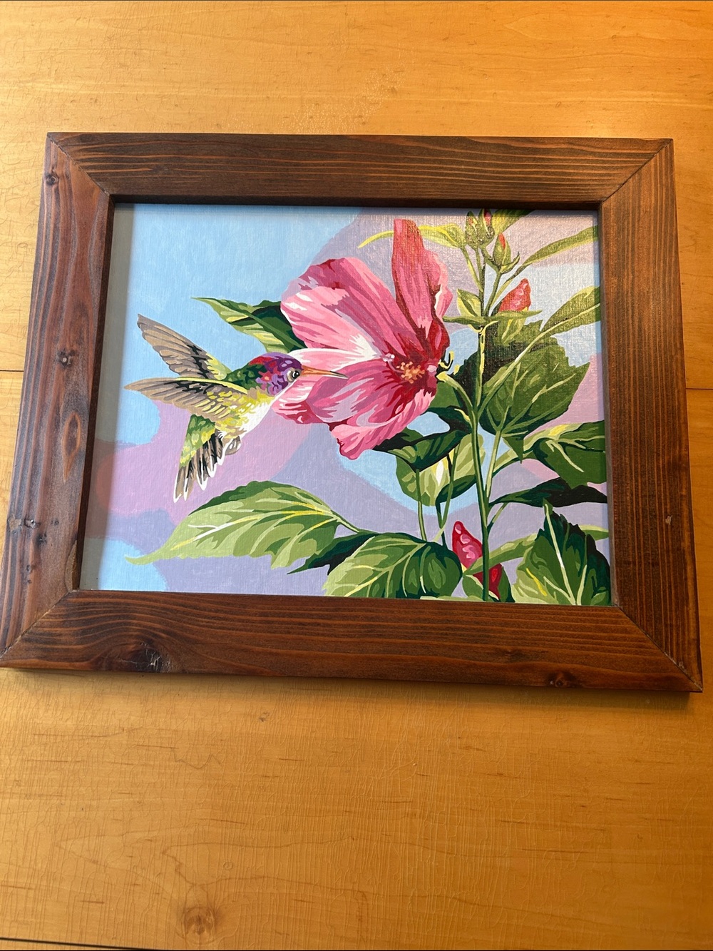 Vintage paint by number, hummingbird and hibiscus flour